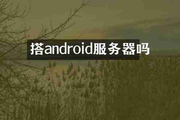 搭android服务器吗