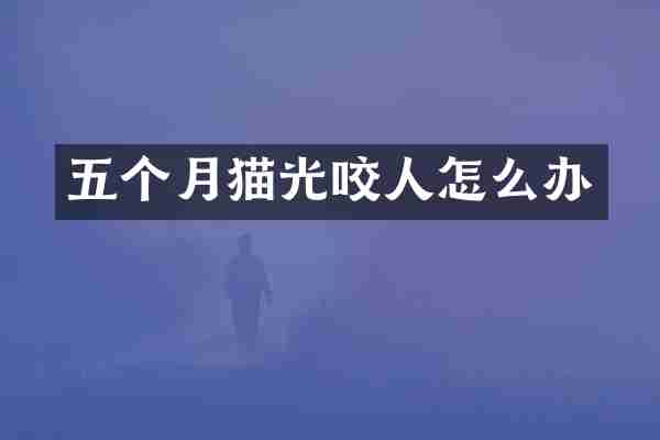 五个月猫光咬人怎么办