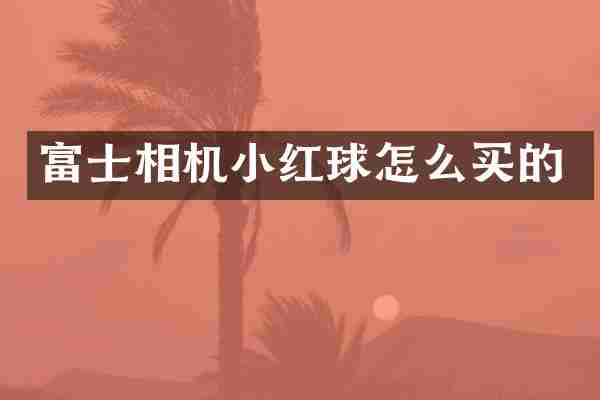 富士相机小红球怎么买的