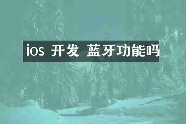 ios 开发 蓝牙功能吗
