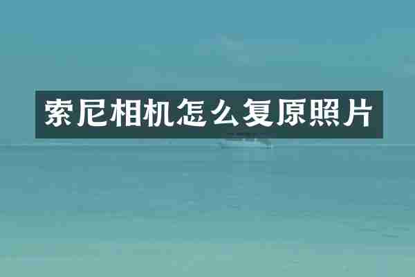索尼相机怎么复原照片