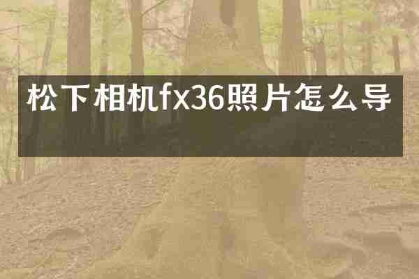 相机fx36照片怎么导出