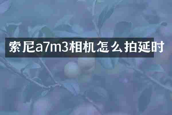 索尼a7m3相机怎么拍延时