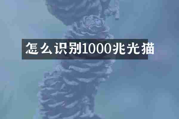 怎么识别1000兆光猫