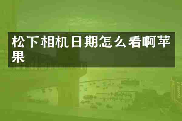 相机日期怎么看啊苹果