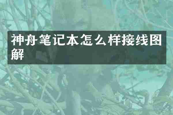 神舟笔记本怎么样接线图解