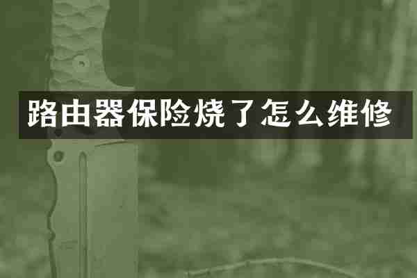 路由器保险烧了怎么维修