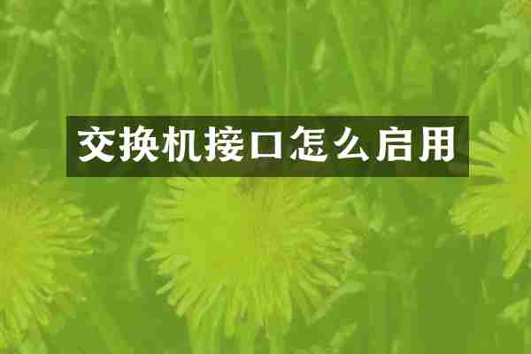 交换机接口怎么启用