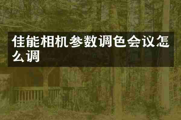 佳能相机参数调色会议怎么调