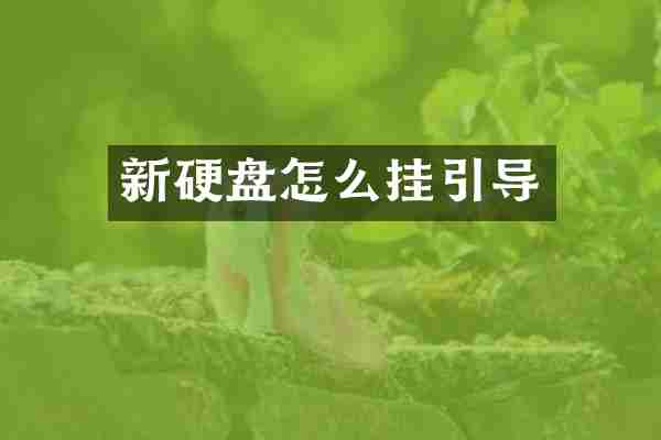新硬盘怎么挂引导