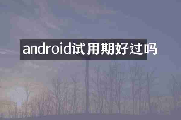 android试用期好过吗