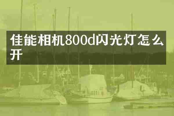 佳能相机800d闪光灯怎么打开