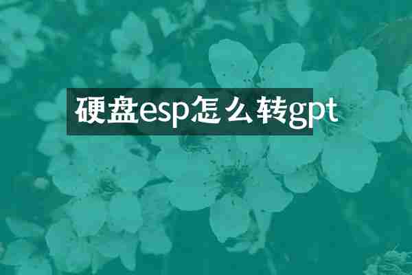 硬盘esp怎么转gpt