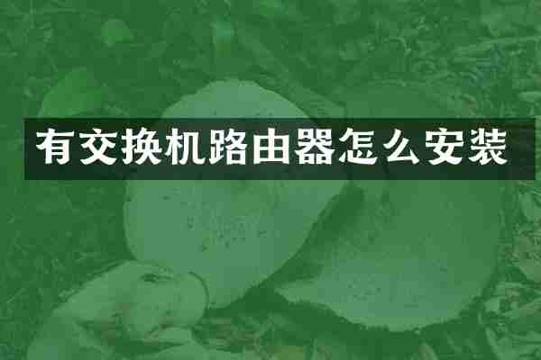 有交换机路由器怎么安装