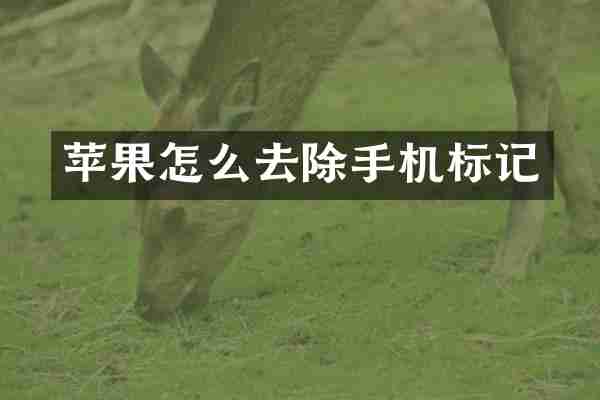 苹果怎么去除手机标记