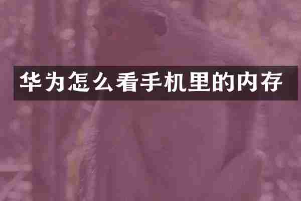 华为怎么看手机里的内存