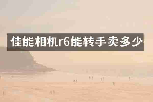 佳能相机r6能转手卖多少