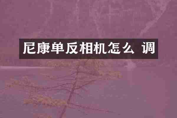 尼康单反相机怎么 调