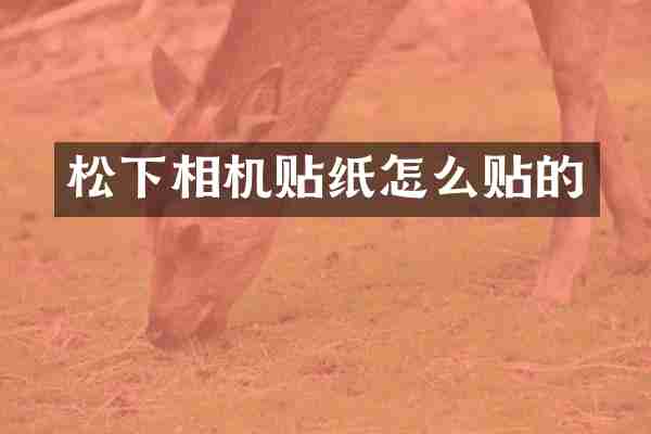 相机贴纸怎么贴的