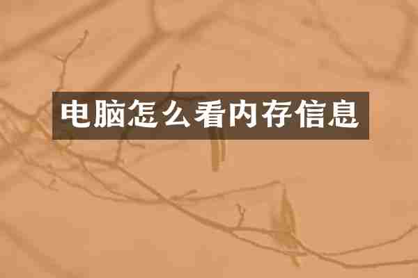 电脑怎么看内存信息