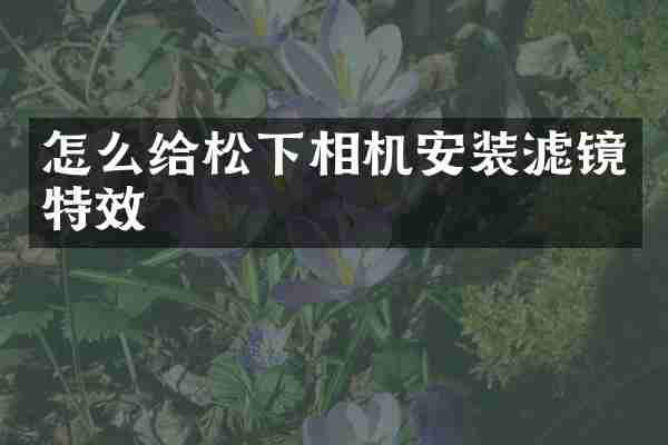 怎么给相机安装滤镜特效