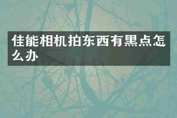 佳能相机拍东西有黑点怎么办