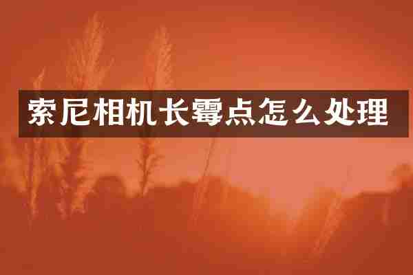 索尼相机长霉点怎么处理
