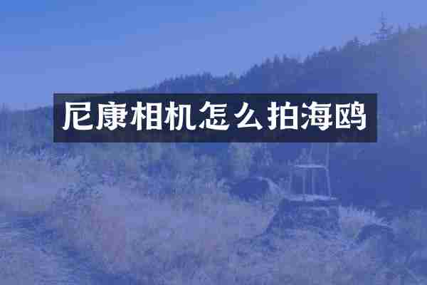 尼康相机怎么拍海鸥