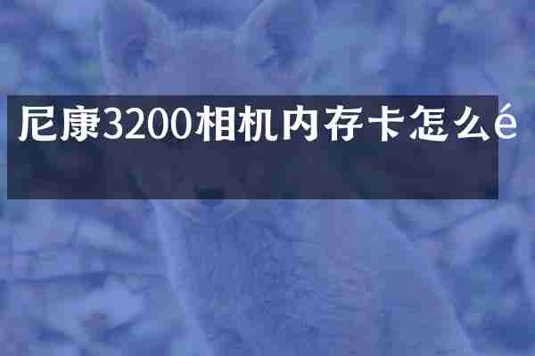 尼康3200相机内存卡怎么选