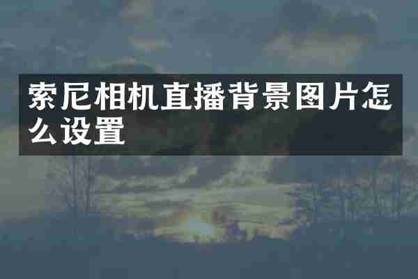 相机直播背景图片怎么设置