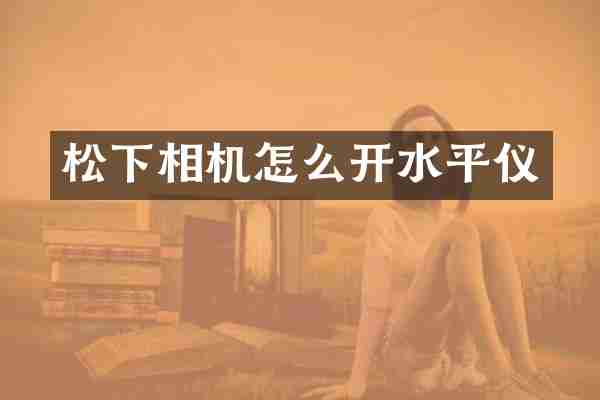 相机怎么开水平仪