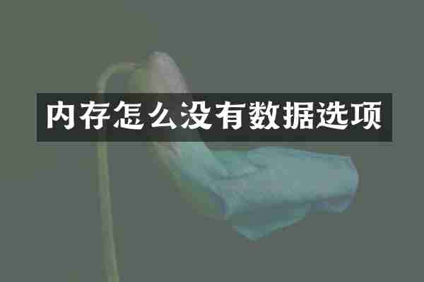 内存怎么没有数据选项