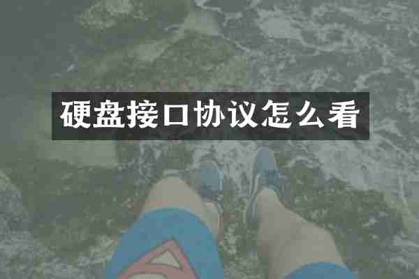 硬盘接口协议怎么看