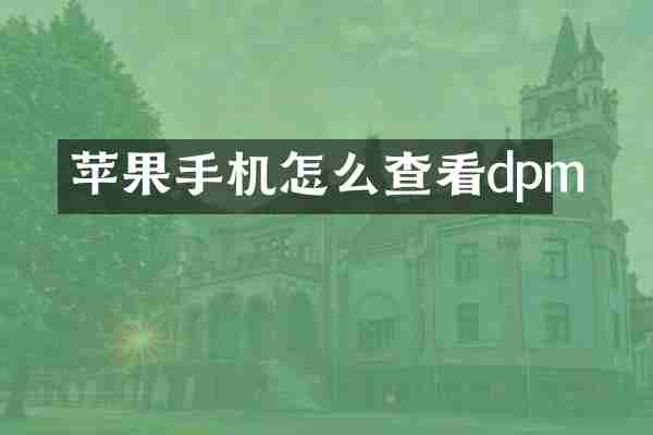 苹果手机怎么查看dpm