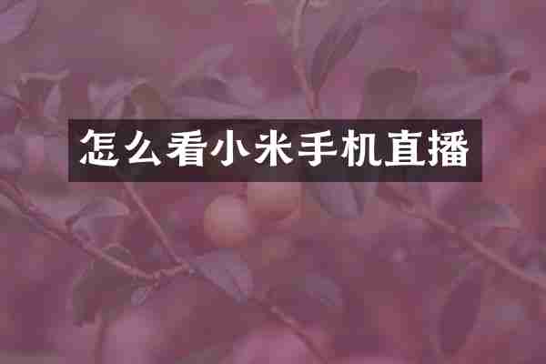 怎么看小米手机直播