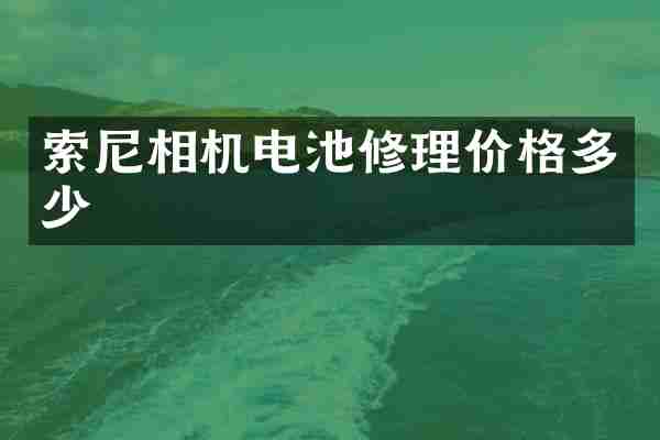 索尼相机电池修理价格多少