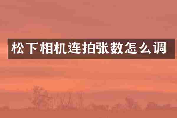 相机连拍张数怎么调