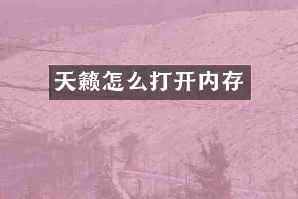 天籁怎么打开内存