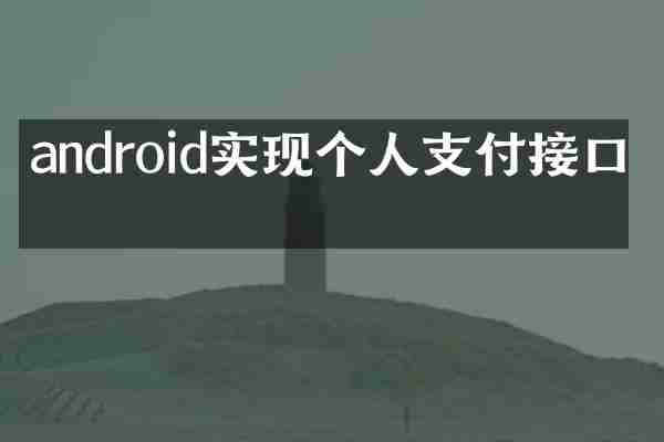 android实现个人支付接口吗