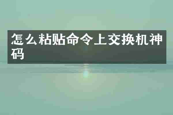 怎么粘贴命令上交换机神码