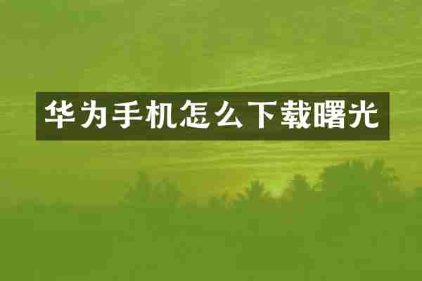 华为手机怎么下载曙光