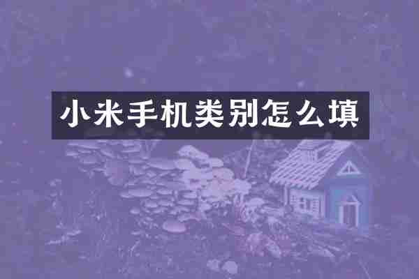 小米手机类别怎么填