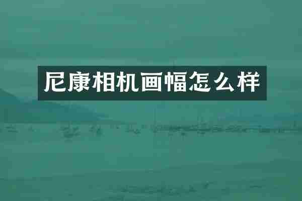 尼康相机画幅怎么样