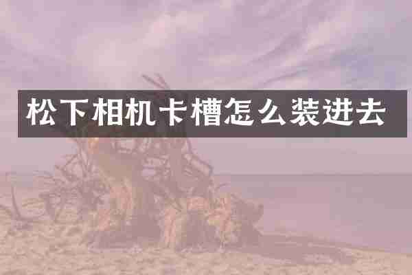相机卡槽怎么装进去