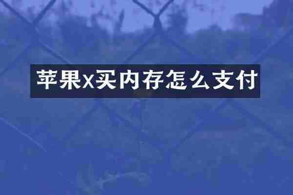 苹果x买内存怎么支付