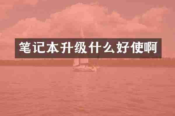 笔记本升级什么好使啊