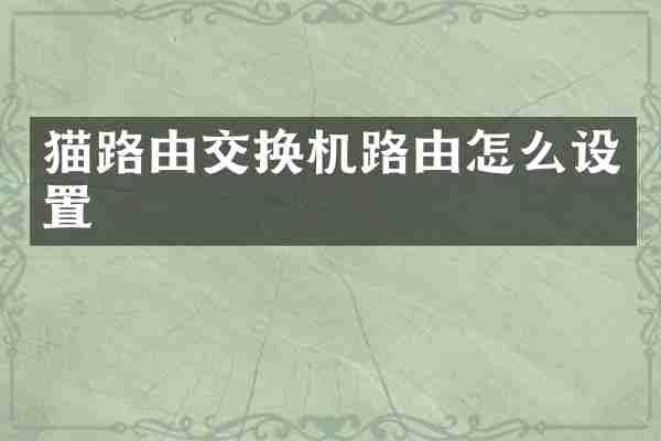 猫路由交换机路由怎么设置