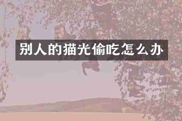 别人的猫光偷吃怎么办
