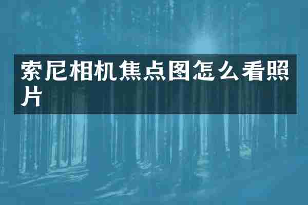 索尼相机焦点图怎么看照片
