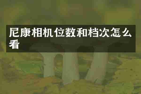 尼康相机位数和档次怎么看